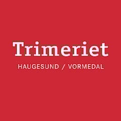 Sponsor logo #8